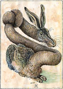 Jeune lièvre après Albrecht Dürer