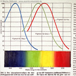Courbes avec la couleur du spectre